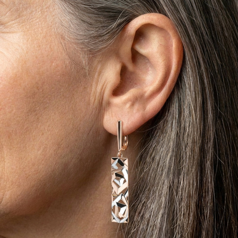 Rectangular Gold and Silver Earrings
