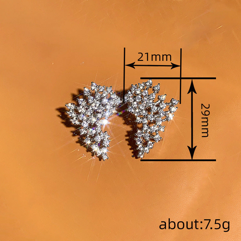 Prachtige Oorbel met unieke stijl