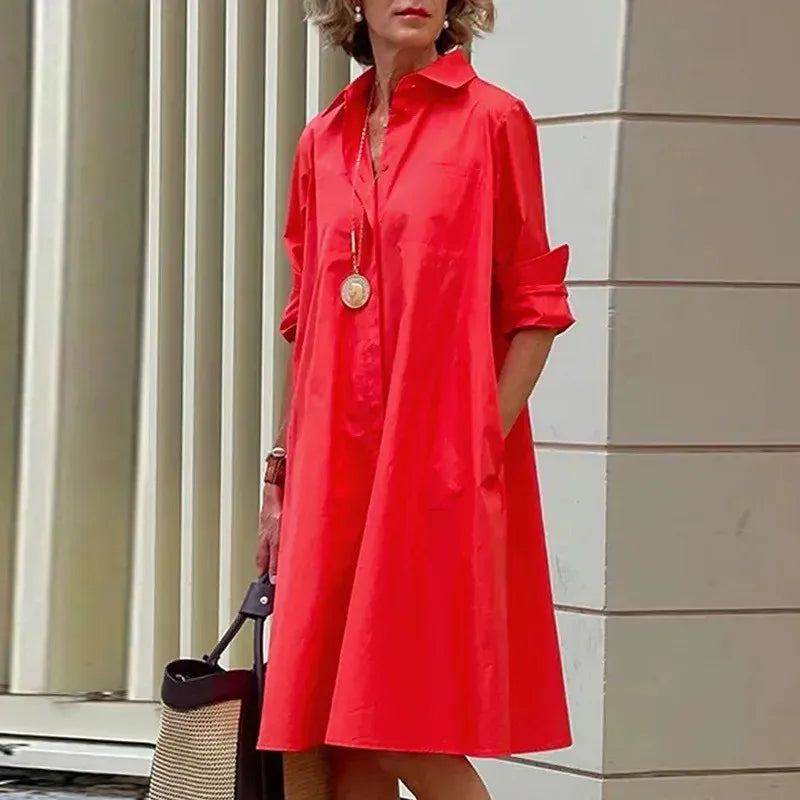 Sophisticated Dress with a Clean Classic Look