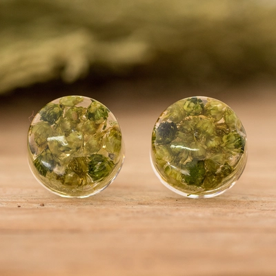 Rounded Nature Earrings
