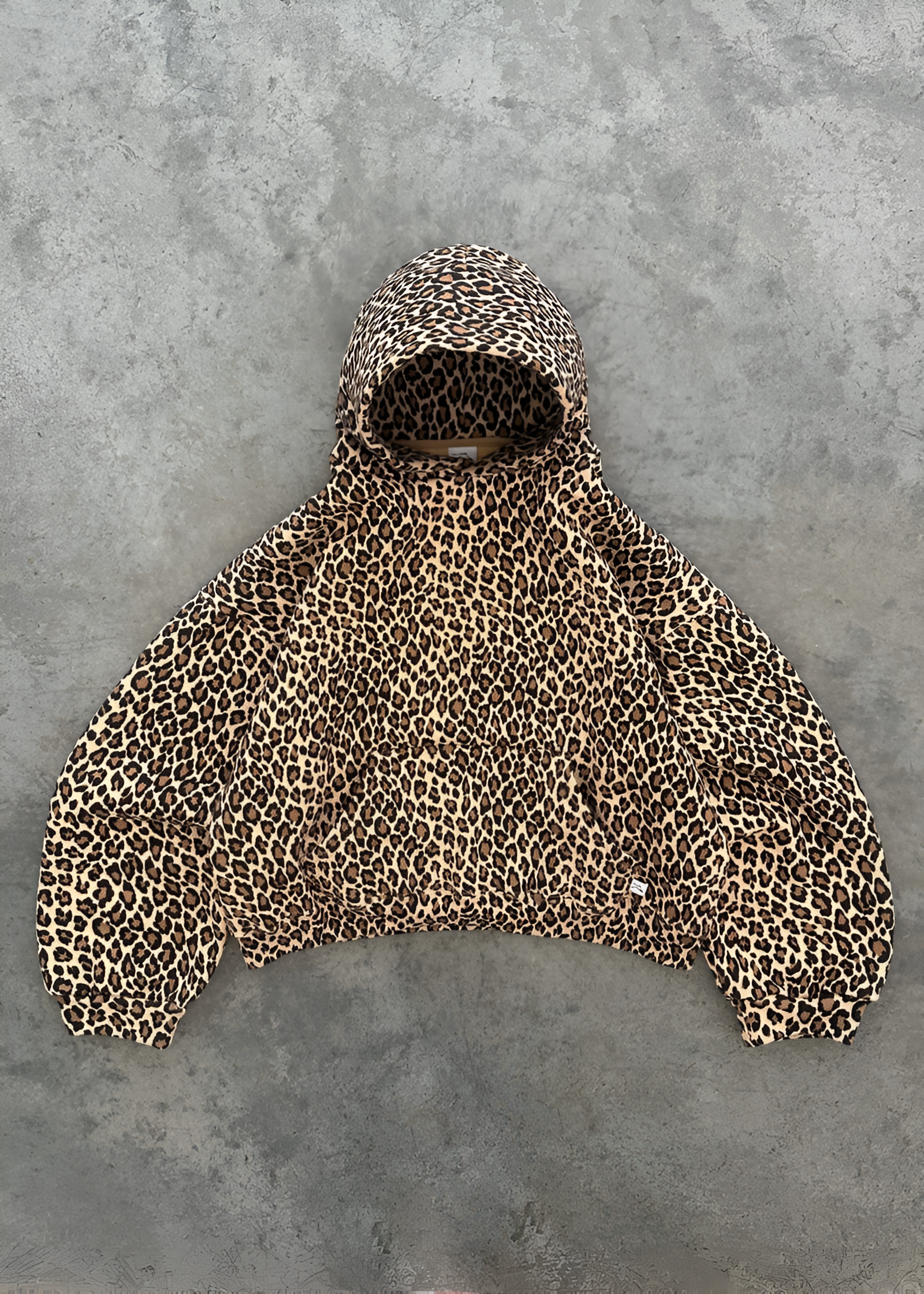 Leopard